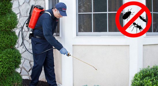Bodrum Dezenfeksiyon böcek ilaçlama ve haşere kontrolü — ilaclama-tr.com